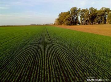 Campo · 300000m² · Campo en Villa Mugueta