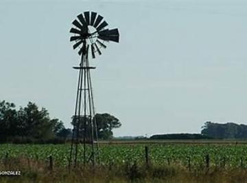 Campo · 300000m² · Campo en Arminda