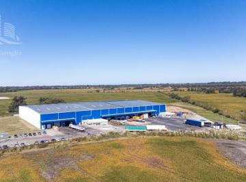 Depósito · 11000m² · Venta - Depósito - Zarate, Km 90 Colectora Oeste