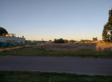 Terreno · 1000m² · Canales de Plottier