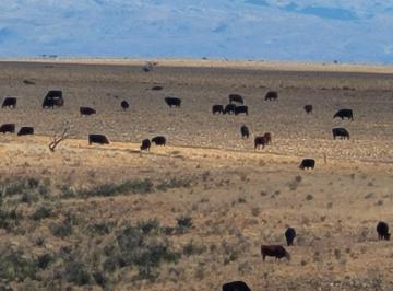 Campo · 58600000m² · Venta de 5860 Ha en La Toma San Luis