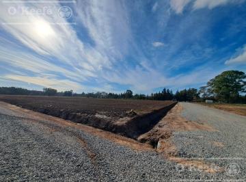 Terreno · 303m² · Lotes en Venta en El Pato - Berazategui - Terrenos Desde 295 m²