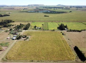 Campo , Balcarce · Chacra Lote 4 Ha Los Pinos