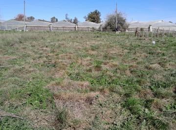 Terreno , La Plata · Lote en Venta - Abasto