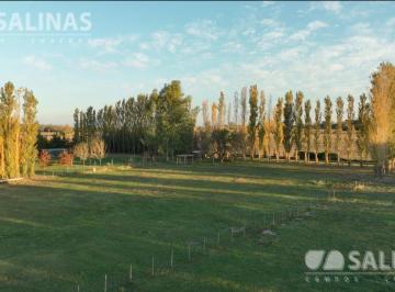 Terreno · 5000m² · 7 Lotes en Haras El Malacate.