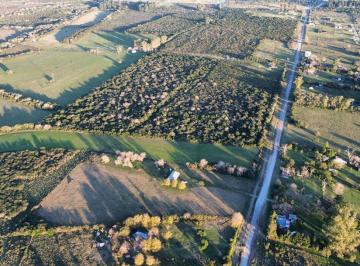 Campo · 60m² · 3 Dormitorios · Vendo Casa de Campo en 3 Has en Concepción del Uruguay, Entre Ríos.