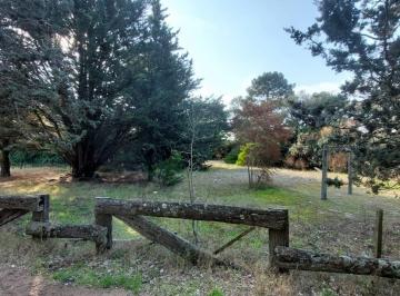 Terreno · 24000m² · Terreno - Venta - Villa Gesell - Código 303 - Blangiforti Propiedades
