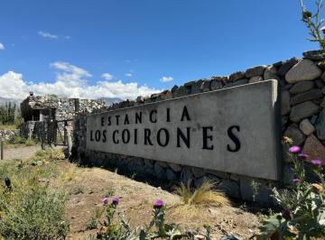 Terreno · 10000m² · Terreno en Venta La Carrera, Tupungato
