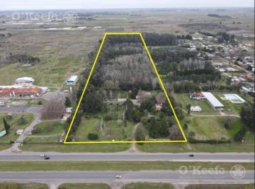 Campo · 85000m² · Chacra en Venta 8,5 Has Brandsen Sobre Ruta 2 - Ideal Proyecto Inmobiliario