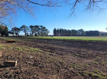 Campo · 110000m² · Venta Campo - Quinta de 11 Ha en La Polola - El Boqueron