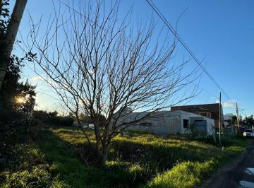 Terreno , La Plata · Lote en Venta, en Calle 499 Entre 4 y 5, Villa Castells, La Plata