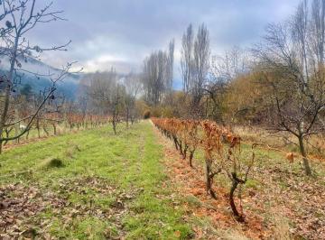 Campo · 30000m² · Chacra en El Hoyo Oportunidad