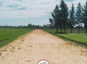Terreno , La Plata · Venta Lotes en Finca Tavares Abasto