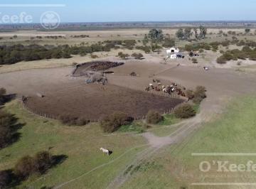 Campo · 137470000m² · Campo en Venta de 13.747 Ha Islas de Ibicuy. Entre Rios