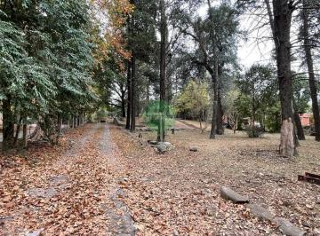 Terreno · 5000m² · Recibe Menor - Apto 19 Unidades - Villa Rivera Indarte - 5000 m² de Terreno