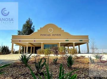 Terreno · 650m² · Venta - Lotes Internos en Fincas Joven