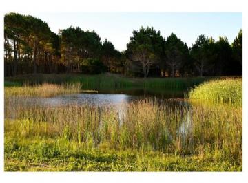 Terreno · 1017m² · Northbeach Lotes Pinamar Venta