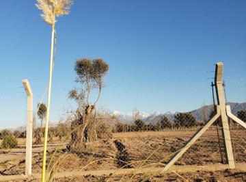 Terreno , Chacras de Coria · Lotes Desde 300 m en Barrio Privado Dominio Vistalba, Calle Don Carlos