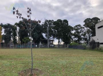 Terreno · 500m² · Venta de Lote en San Eduardo - Pilar del Este