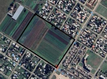 Terreno · 60000m² · Venta Lote de 6 Ha Barrio Virgen de Lujan