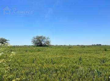 Campo · 200000m² · Campo 20 Ha en Venta Sobre Ruta 6 - Marcos Paz