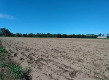 Terreno de 1 ambiente, Córdoba · Venta 1/2 Hectarea 0 Ha Apto Galpones Córdoba Villa Esquiu