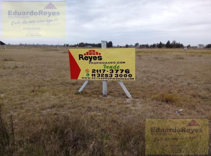 Terreno · 50032m²