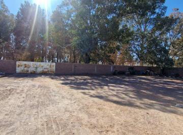 Terreno · 942m² · Venta Terreno 942 m² Frente de La Plaza en Barreal