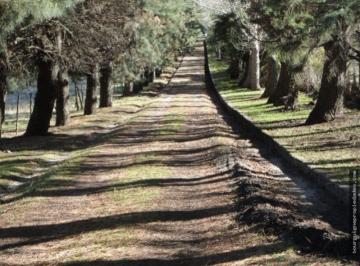 Quinta vacacional · 80000m² · Quinta de 8 Has en Las Cercanias de Sierra de Los Padres (Barrio San Carlos)