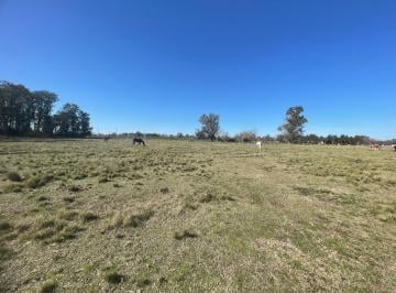 Terreno · 1800m² · Venta de Lotes Los Pinos, Exaltación de La Cruz