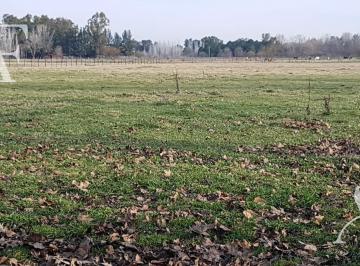 Terreno · 10000m² · Terreno Gral Las Heras I 1 Ha