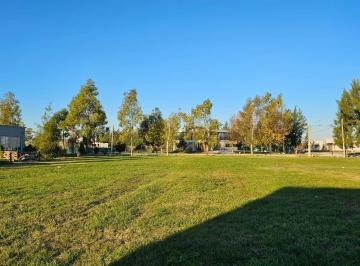 Terreno , Brandsen · Campos de Roca II - en Venta Lote Central en Esquina con Excelente Ubicación