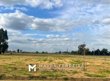 Terreno · 613m² · Terreno en Venta en Fincas Joven - San Vicente