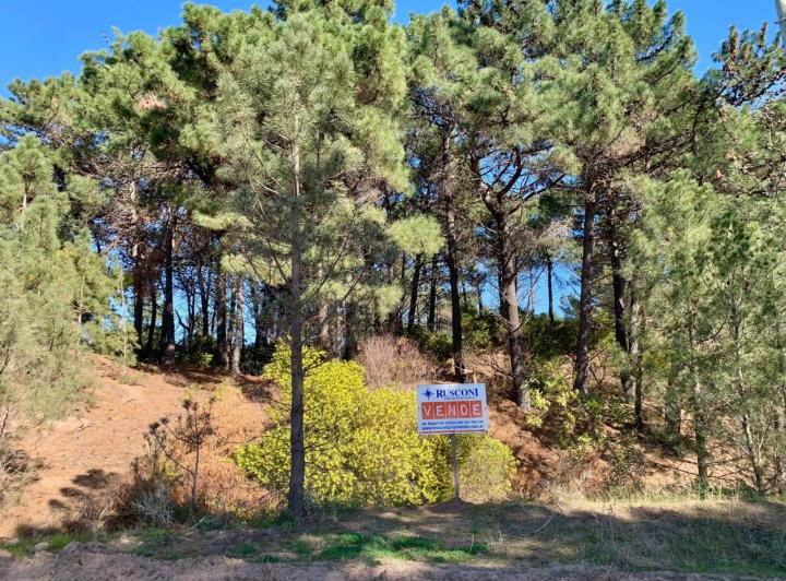 Terreno · 422m²