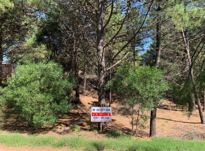Terreno · 799m²