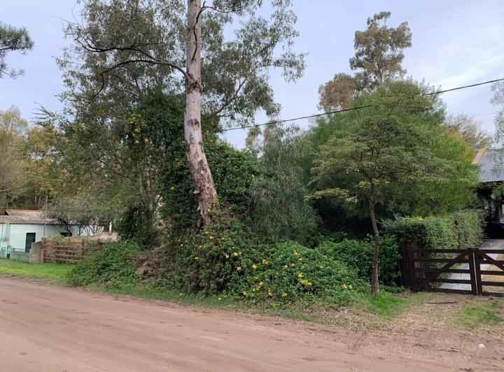 Terreno · 385m²