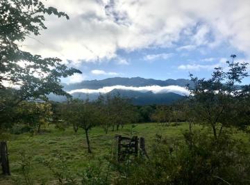 Campo de 7 ambientes, Las Chacras · Córdoba. Traslasierra. Las Chacras. Exc Campo 3.7ha C/casa. 13 Km Merlo S Luis