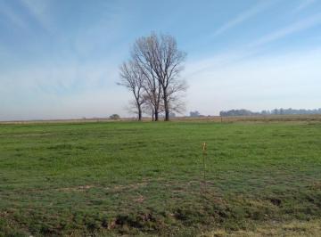 imagen1 · Se Vende Campo de 59ha en San Vicente
