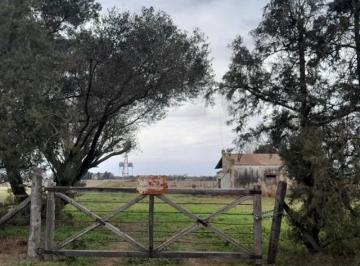 Campo , Leandro N Alem · 68 Hectàreas en L. N. Alem