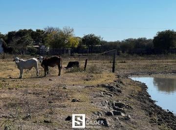 Terreno · Campo Ganadero - Juan Jose Castelli