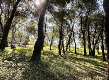 Terreno · 3000m² · Terreno en Venta