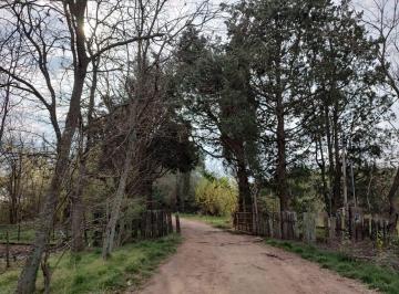 Terreno · 250000m² · En Venta Terreno de 25 Ha.4 Lotes de Mas de 6 Ha.