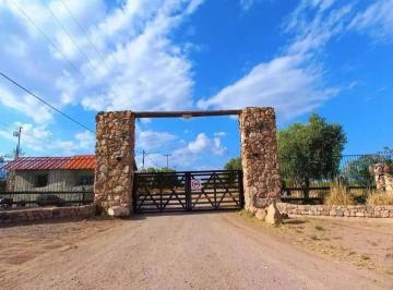 Terreno , Luján de Cuyo · Lote en Venta 2000 m² Lujan de Cuyo