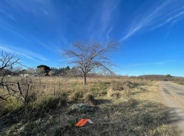 MBO-MBO-187_2 · Lote en Venta
