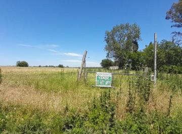 imagen1 · Se Vende Fraccion de 5,5 Ha en Virrey del Pino