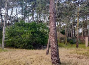 Terreno , Pinamar · Pinamar - Lote en Venta - con Excelente Ubicación