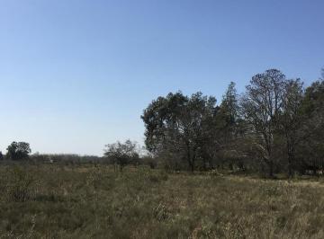 Campo · 75000m² · 7,5 Ha Chacra C/ Mejoras
