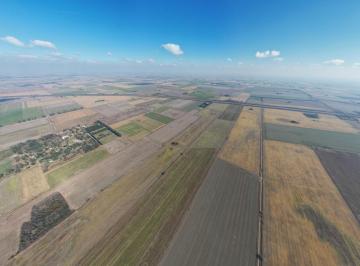 Campo · 360000m² · Campo en Venta 36 Hectáreas Clase 1 Oliveros, Sta Fe