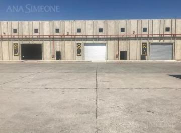 Bodega-Galpón · 300m² · Nave Industrial - Moreno - La Reja - Alquiler