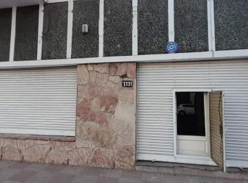 Foto · Alta Cordoba - Galpon 300 m - en Venta